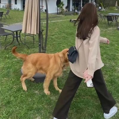 甜了青梅配竹马